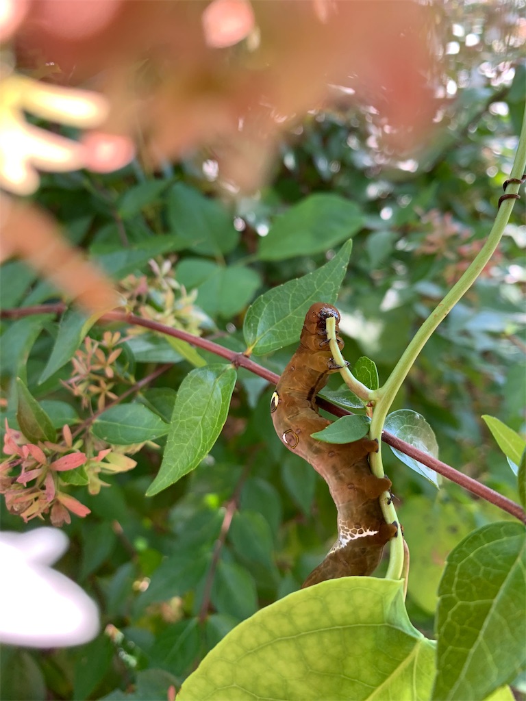 f:id:avionbimoteur:20190909210858j:image
