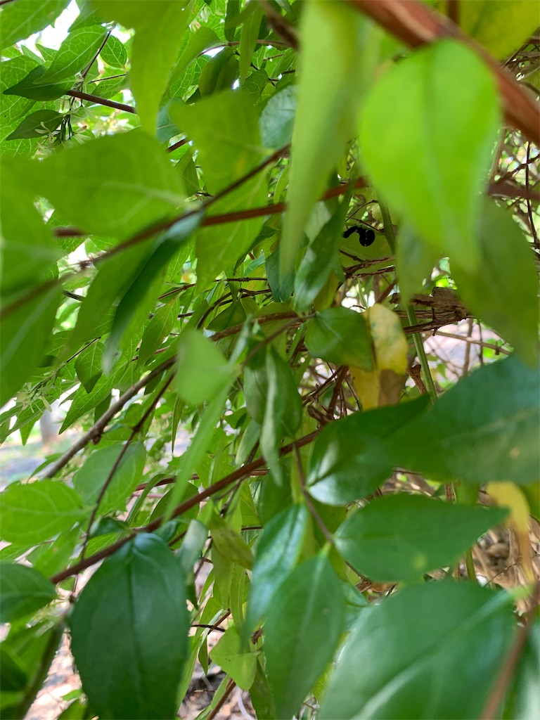f:id:avionbimoteur:20190909222219j:image
