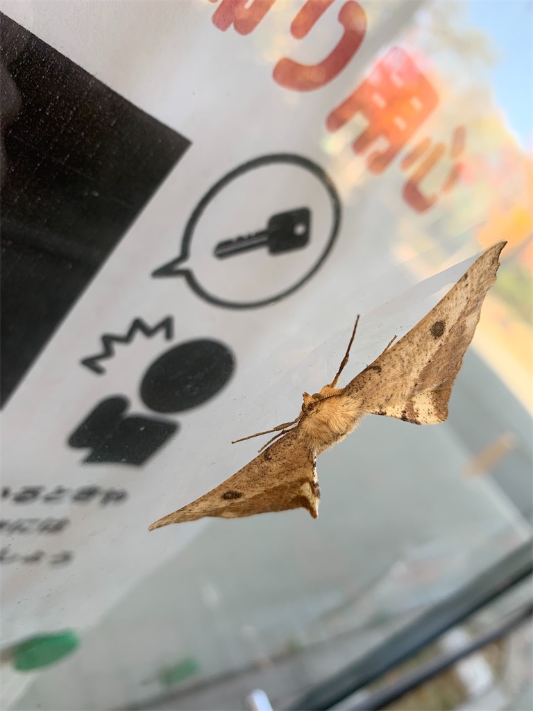 f:id:avionbimoteur:20191112154151j:image