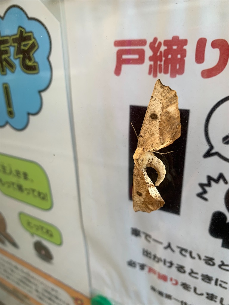 f:id:avionbimoteur:20191112154241j:image