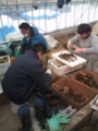 20100115122012