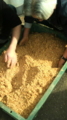 20100217143628