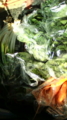 20100224110636