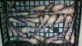 20100302224050