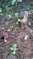 20100402095744