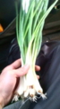 20100404104710