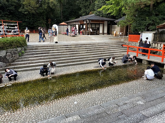 下鴨神社　水占い