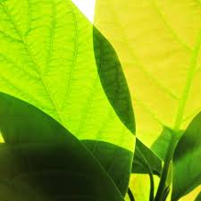 f:id:avosource:20191201174418j:plain