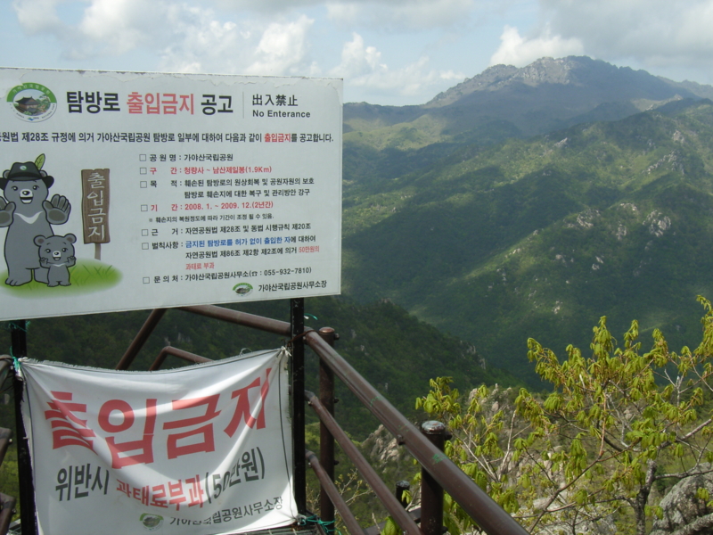 f:id:aw2q:20090503142725j:image