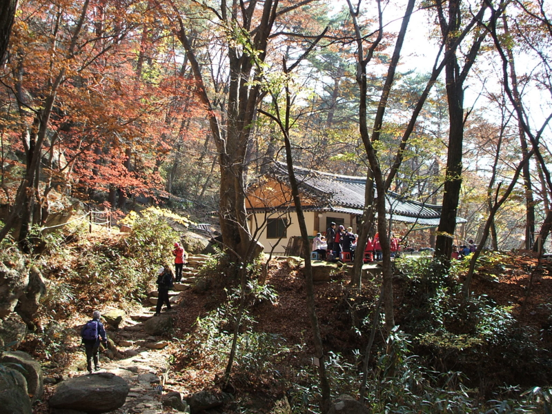 f:id:aw2q:20091102125554j:image
