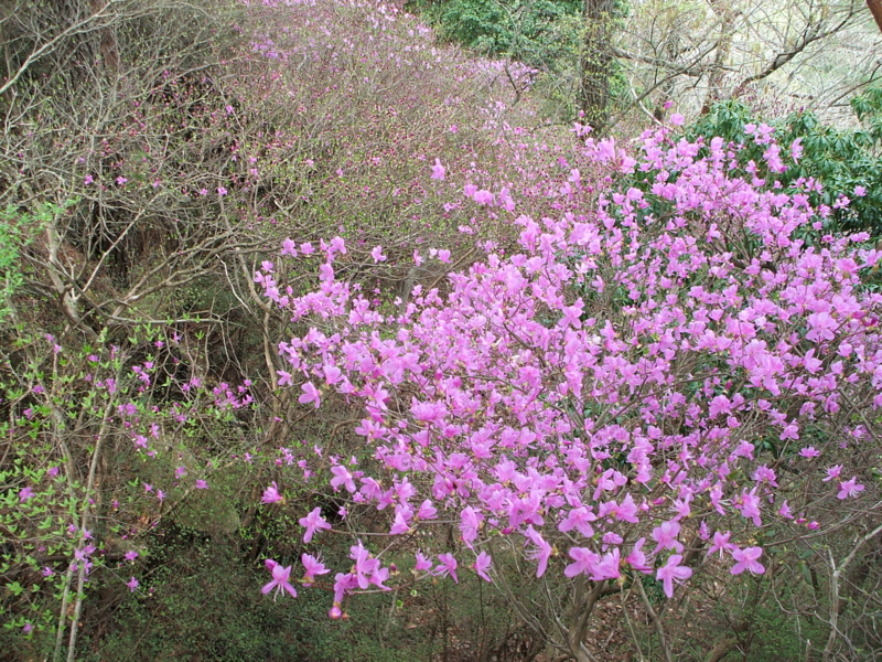 f:id:aw2q:20100418123413j:image