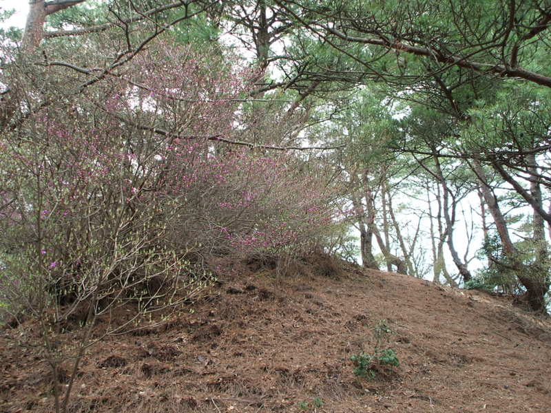 f:id:aw2q:20100418124718j:image