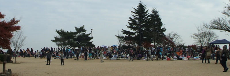 f:id:aw2q:20101120133013j:image