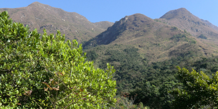 f:id:aw2q:20101228102935j:image