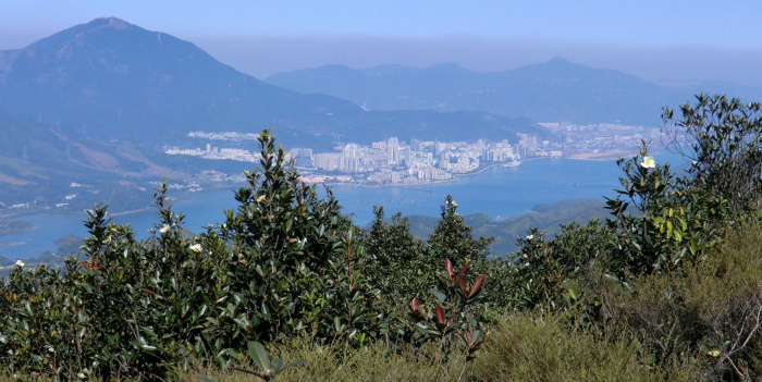 f:id:aw2q:20101228123546j:image