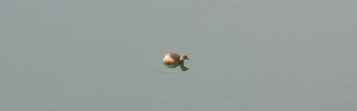f:id:aw2q:20110206102707j:image f:id:aw2q:20110206102707j:image