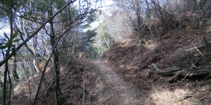 f:id:aw2q:20110206114520j:image f:id:aw2q:20110206114520j:image