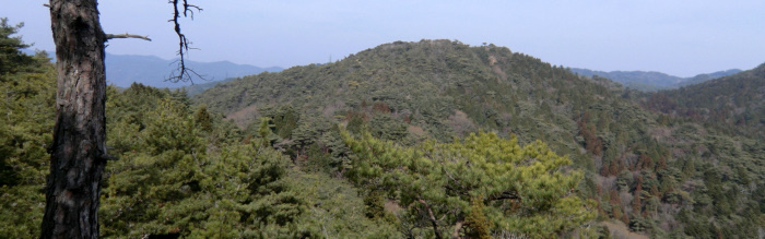 f:id:aw2q:20110206121227j:image f:id:aw2q:20110206121227j:image