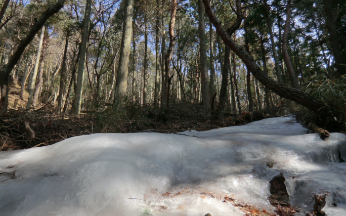 f:id:aw2q:20110206124601j:image f:id:aw2q:20110206124601j:image