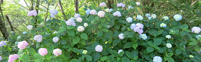 f:id:aw2q:20110702215829j:image