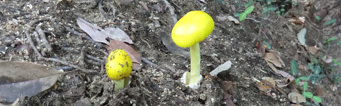 f:id:aw2q:20110702215833j:image