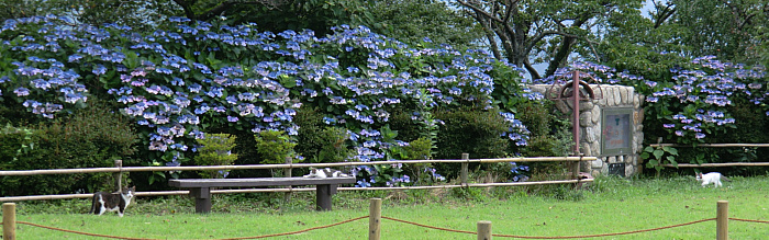 f:id:aw2q:20110724162828j:image