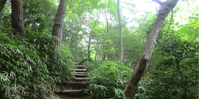 f:id:aw2q:20110724162831j:image