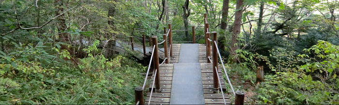 f:id:aw2q:20111105091046j:image