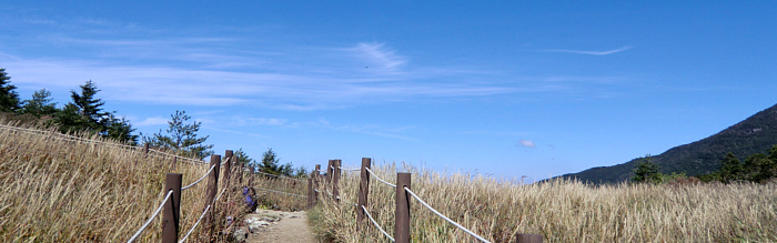 f:id:aw2q:20111105091048j:image