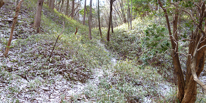 f:id:aw2q:20120221200639j:image