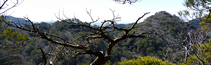f:id:aw2q:20120221200644j:image