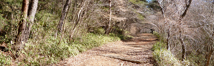 f:id:aw2q:20120221200648j:image