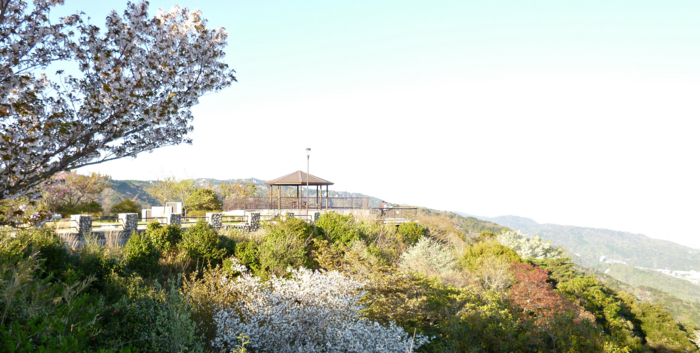 f:id:aw2q:20120429092529j:image f:id:aw2q:20120429092529j:image