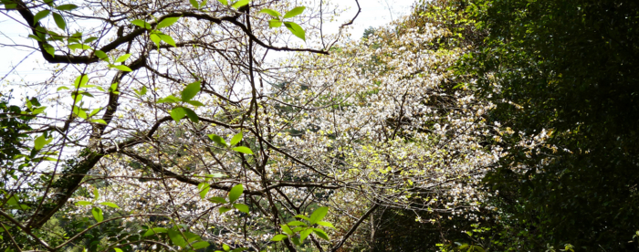 f:id:aw2q:20120429113008j:image