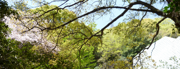 f:id:aw2q:20120429113039j:image
