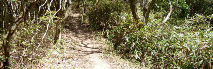 f:id:aw2q:20120429113408j:image