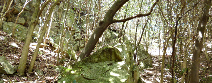 f:id:aw2q:20120429113411j:image