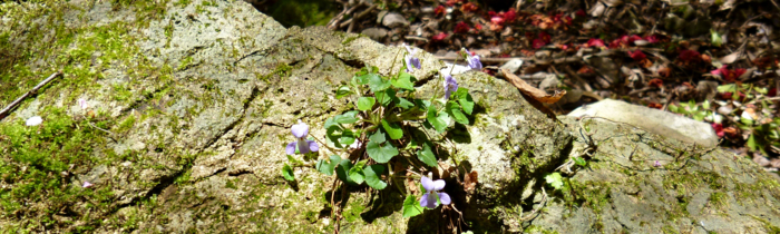 f:id:aw2q:20120429113414j:image