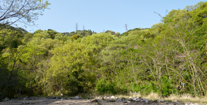 f:id:aw2q:20120429114316j:image