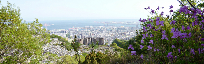 f:id:aw2q:20120429114323j:image