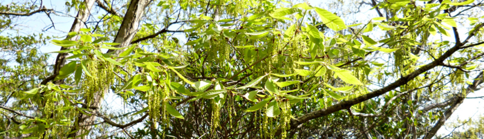 f:id:aw2q:20120429114333j:image