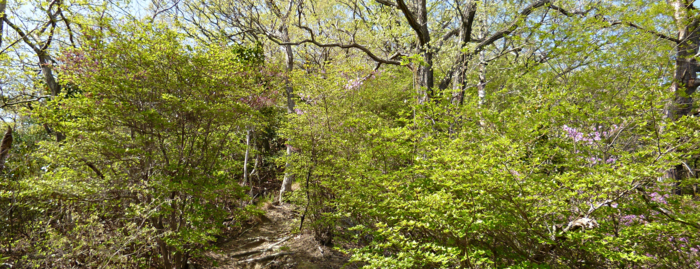 f:id:aw2q:20120429114336j:image