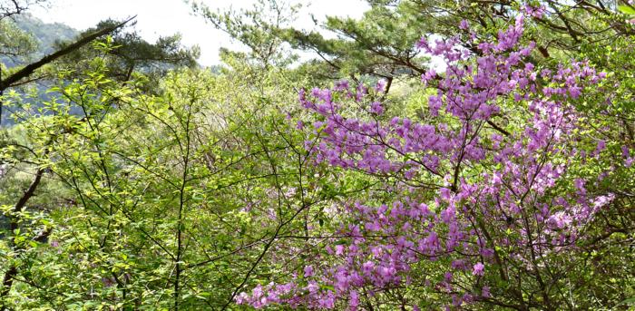 f:id:aw2q:20120429114348j:image