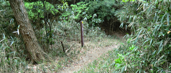f:id:aw2q:20120430194222j:image