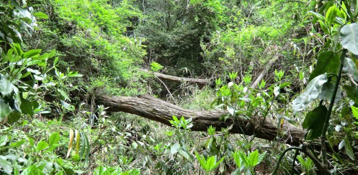 f:id:aw2q:20120430194227j:image