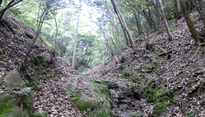 f:id:aw2q:20120430194240j:image