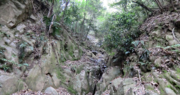 f:id:aw2q:20120430194255j:image
