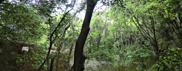 f:id:aw2q:20120430194300j:image
