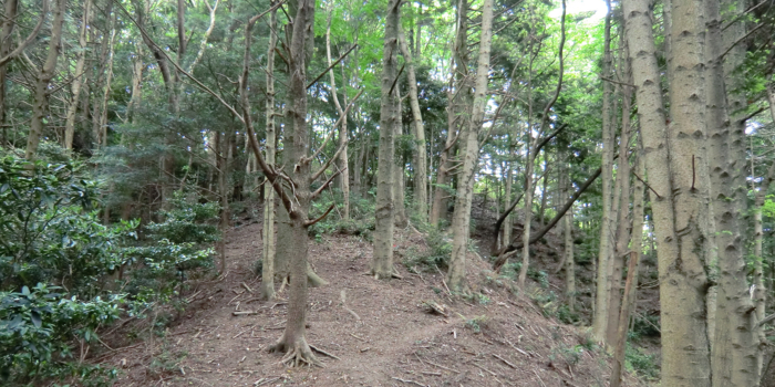 f:id:aw2q:20120512203615j:image f:id:aw2q:20120512203615j:image