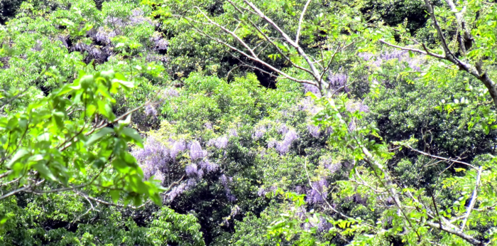 f:id:aw2q:20120512203638j:image f:id:aw2q:20120512203638j:image
